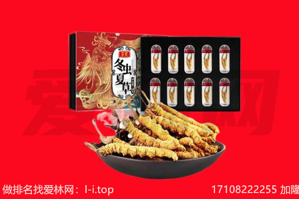 湟中区虫草回收